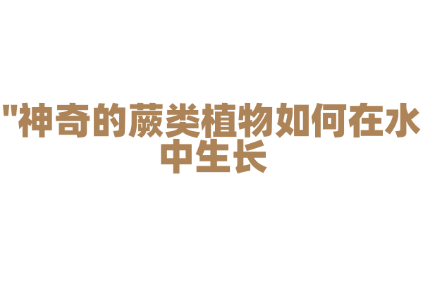 "神奇的蕨类植物如何在水中生长？"